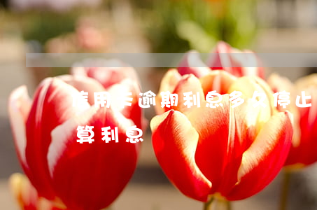 信用卡逾期利息多久停止(信用卡逾期會一直算利息嗎)