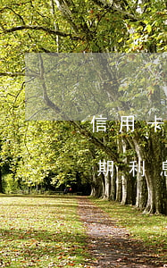 信用卡逾期利息多久停止(信用卡 逾期罰息 逾期利息)