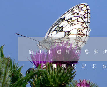 信用卡逾期利息多少是合法的-银行的信用卡逾期利息是怎么计算的