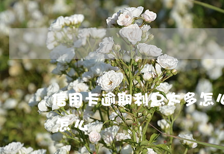 信用卡逾期利息太多怎么還(逾期后利息太高怎么辦)