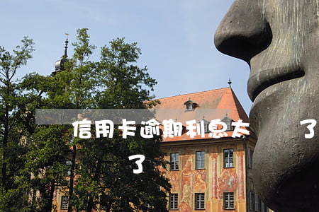 信用卡逾期利息太離譜了(信用卡逾期利息太離譜了嗎)