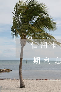 信用卡逾期利息太高了怎么办啊-信用卡逾期利息太高了怎么办啊