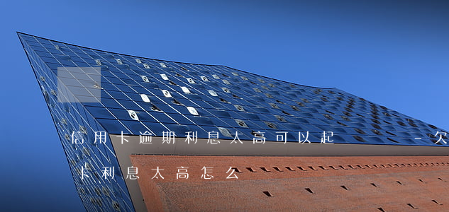 信用卡逾期利息太高可以起訴嗎嗎-欠信用卡利息太高怎么辦