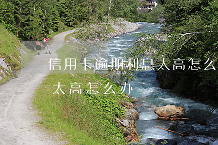 信用卡逾期利息太高怎么投诉 欠信用卡利息太高怎么办