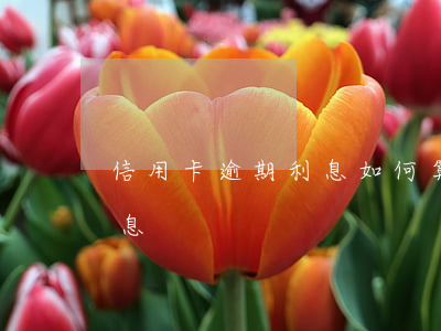 信用卡逾期利息如何算(各銀行信用卡逾期利息)
