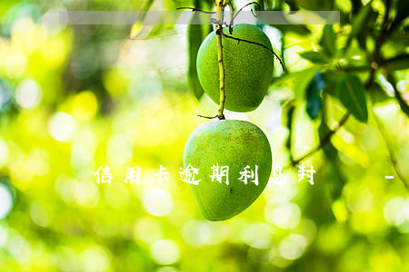 信用卡逾期利息封頂嗎-逾期利息有封頂嗎