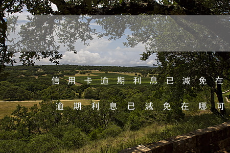 信用卡逾期利息已減免在哪可以查-信用卡逾期利息已減免在哪可以查到