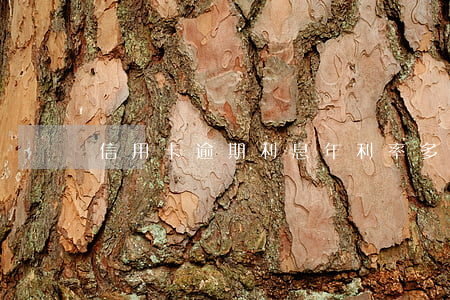 信用卡逾期利息年利率多少錢