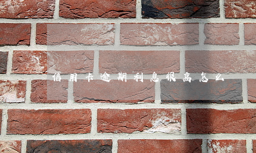 信用卡逾期利息很高怎么辦