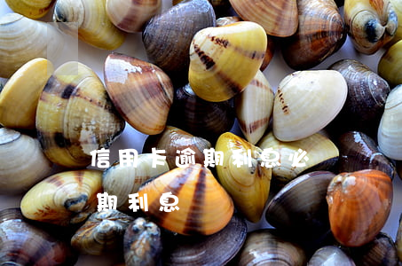 信用卡逾期利息必須還嗎(信用卡 逾期罰息 逾期利息)