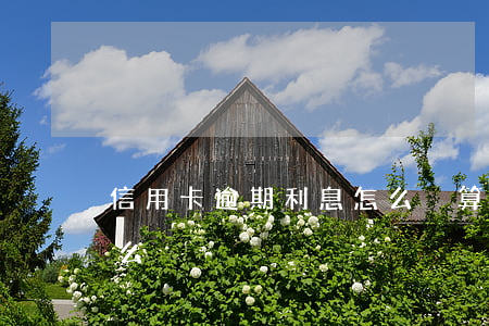 信用卡逾期利息怎么換算（信用卡逾期利息怎么換）