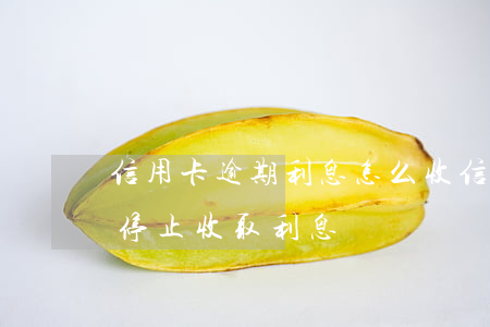 信用卡逾期利息怎么收(信用卡逾期多久開始停止收取利息?)