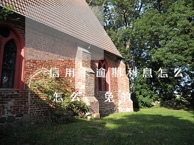 信用卡逾期利息怎么減免-信用卡逾期利息怎么減免的