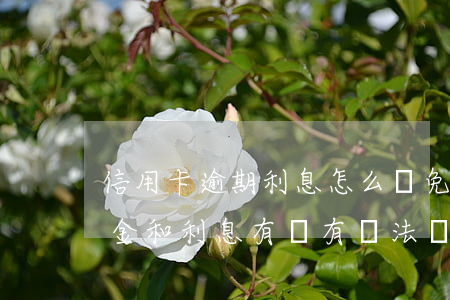 信用卡逾期利息怎么減免(信用卡逾期的違約金和利息有沒有辦法減免)