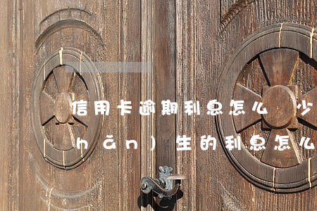 信用卡逾期利息怎么減少(信用卡逾期產(chǎn)生的利息怎么辦)