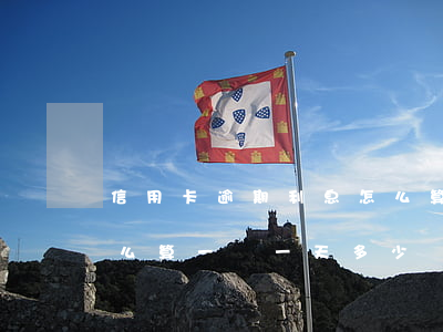 信用卡逾期利息怎么算-信用卡逾期利息怎么算一萬一天多少