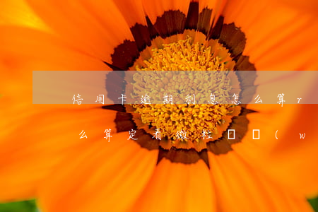 信用卡逾期利息怎么算r(信用卡逾期利息怎么算定看微粒貸穩(wěn)定)