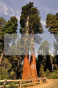 信用卡逾期利息怎么算公式(罰息和逾期利息的計(jì)算公式)