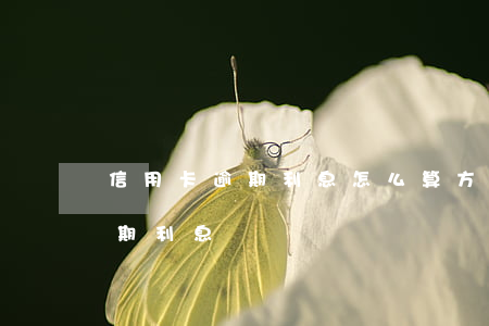 信用卡逾期利息怎么算方式(各銀行信用卡逾期利息)