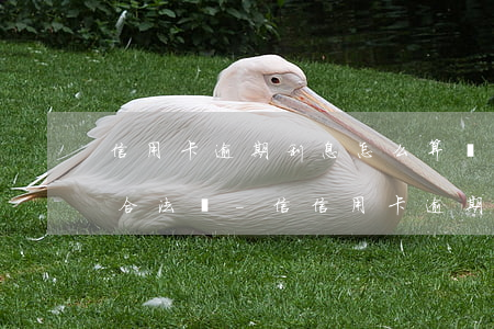 信用卡逾期利息怎么算會(huì)利滾利合法嗎-信信用卡逾期利息怎么算