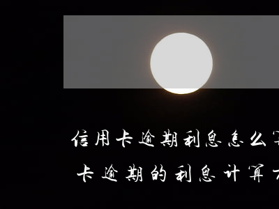 信用卡逾期利息怎么算民生(民法典银行信用卡逾期的利息计算方法)