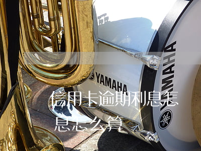 信用卡逾期利息怎樣計個算(逾期的信用卡利息怎么算)