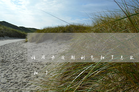 信用卡逾期利息扣了怎么辦（信用卡逾期利息扣了）