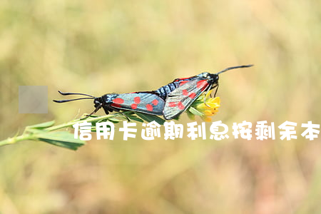信用卡逾期利息按剩余本金
