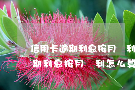 信用卡逾期利息按月復利怎么算-信用卡逾期利息按月復利怎么算的