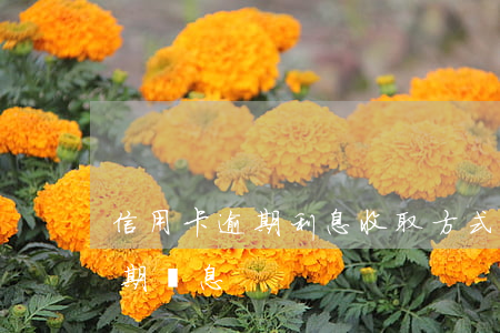 信用卡逾期利息收取方式不合理-信用卡 逾期 罰息