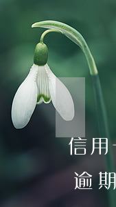 信用卡逾期利息收取方式(被拘留期間信用卡逾期的利息違約金)
