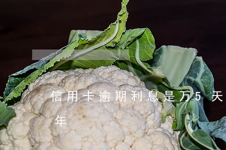 信用卡逾期利息是万5天(信用卡5万逾期三年)