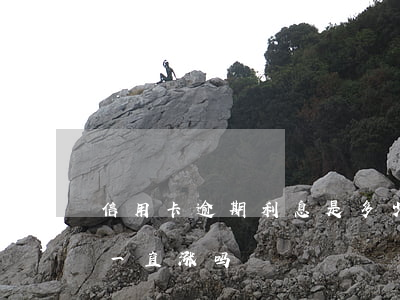 信用卡逾期利息是多少-信用卡逾期利息会一直涨吗