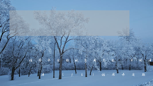 信用卡逾期利息是怎么計算的浦發(fā)-浦發(fā)信用卡 逾期