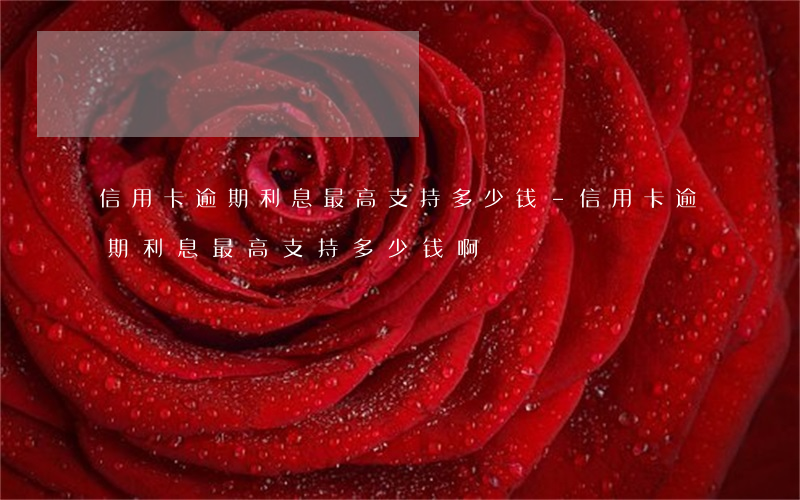 信用卡逾期利息最高支持多少钱-信用卡逾期利息最高支持多少钱啊