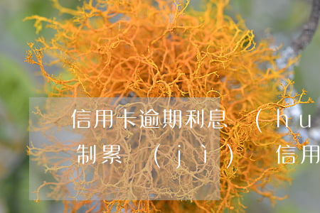 信用卡逾期利息會(huì)無(wú)限制累計(jì)嗎（信用卡逾期利息會(huì)無(wú)限制累計(jì)嗎）