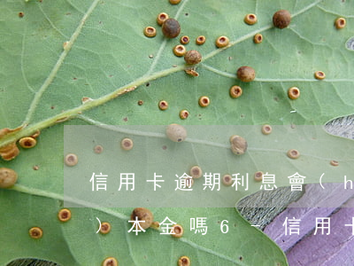信用卡逾期利息會(huì)超過(guò)本金嗎6-信用卡逾期利息會(huì)超過(guò)本金嗎60期