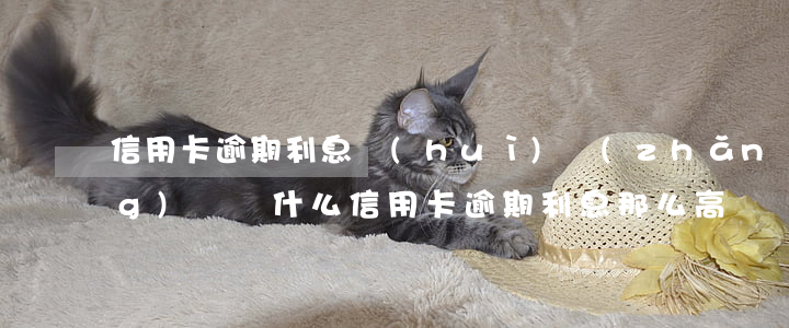 信用卡逾期利息會(huì)長(zhǎng)嗎 為什么信用卡逾期利息那么高