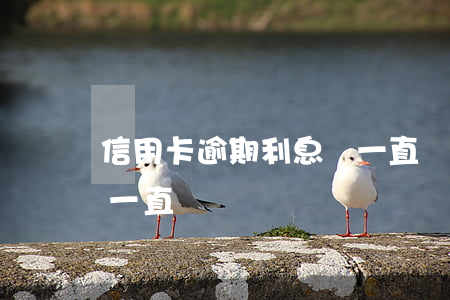 信用卡逾期利息會一直滾么(欠信用卡利息會一直漲嗎?)