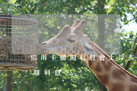 信用卡逾期利息會上浮多少(各銀行信用卡逾期利息)
