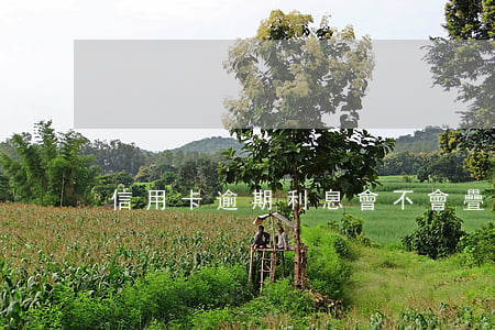 信用卡逾期利息會不會疊加(逾期會疊加嗎)