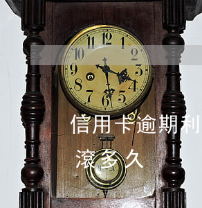 信用卡逾期利息會滾多久(信用卡逾期利息會滾多久)