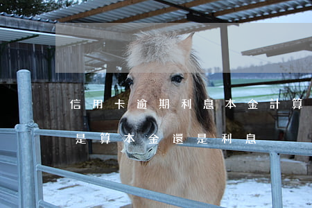 信用卡逾期利息本金計算(信用卡逾期還的錢是算本金還是利息)