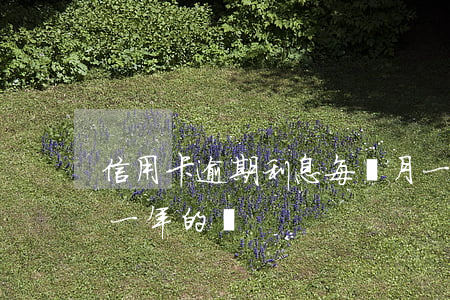 信用卡逾期利息每個月一樣嗎 有信用卡逾期一年的嗎