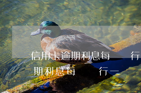 信用卡逾期利息每個銀行一樣嗎-信用卡逾期利息每個銀行一樣嗎怎么算
