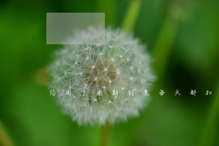 信用卡逾期利息每天都扣嗎(信用卡 逾期 罰息)
