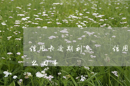 信用卡逾期利息沒漲(信用卡逾期利息沒漲怎么回事)