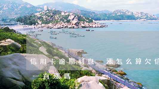 信用卡逾期利息沒漲怎么算(欠信用卡利息會一直漲嗎?)
