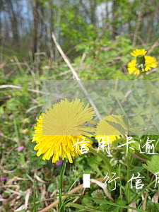 信用卡逾期利息法律規(guī)定上限(各銀行信用卡逾期利息)