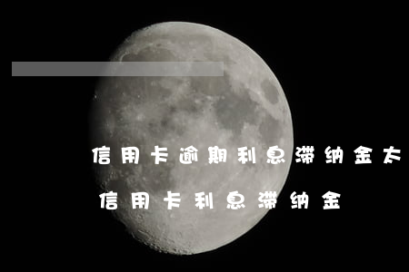 信用卡逾期利息滞纳金太多怎么协商还款-信用卡 利息 滞纳金